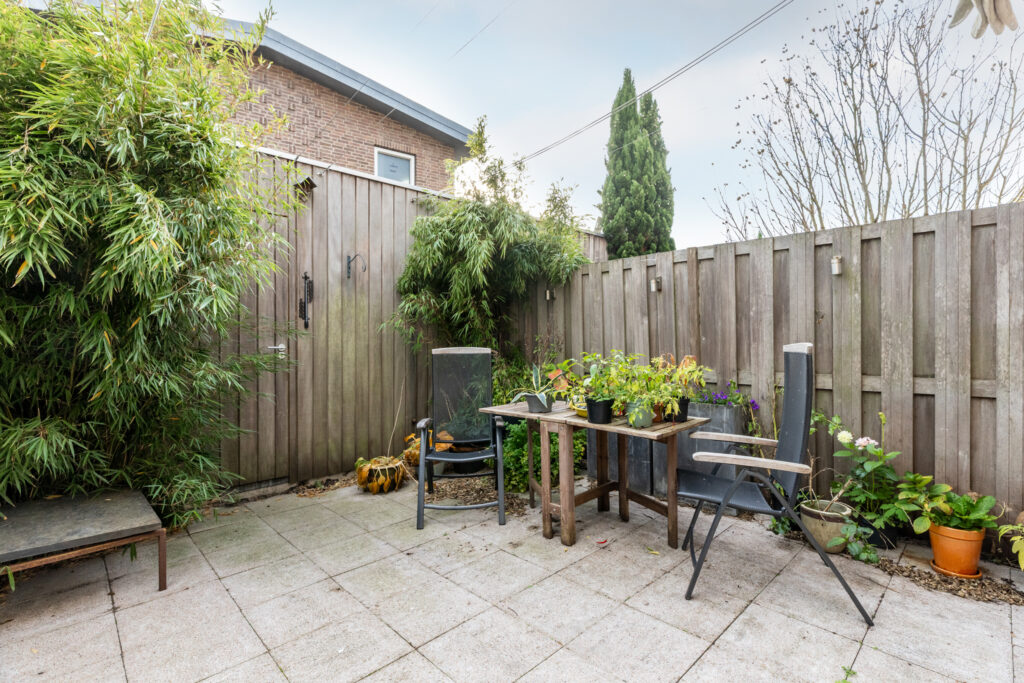 Cozy backyard patio with plants and chairs