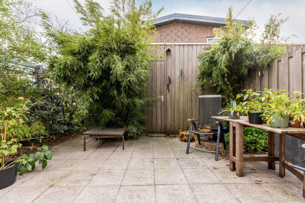 Cozy patio with plants and wooden fence.