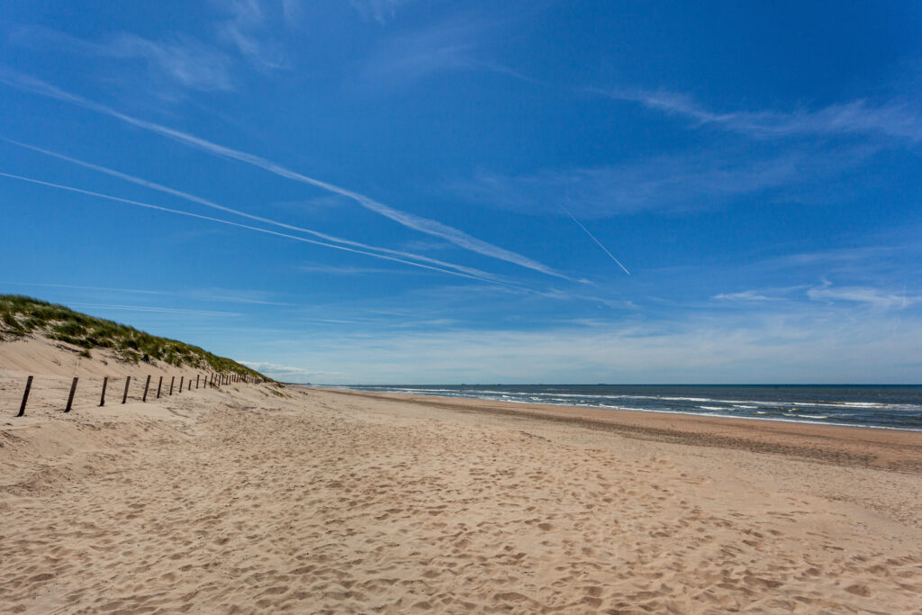 Sunny beach with clear blue sky