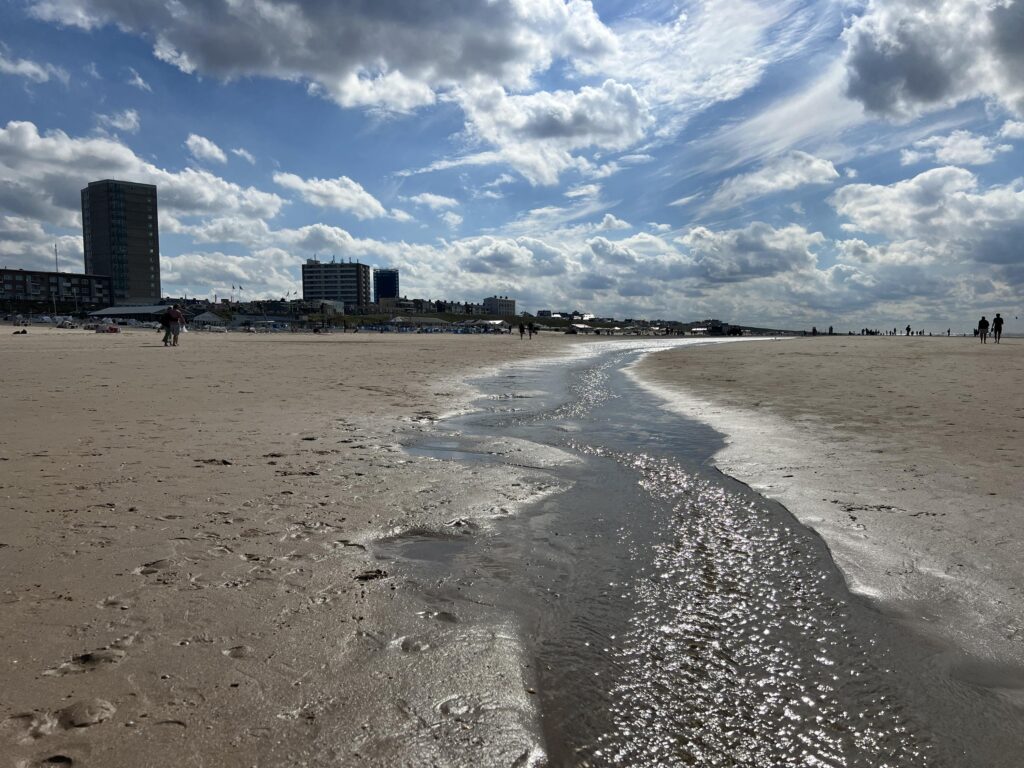 Sandy beach with buildings and cloudy sky.
