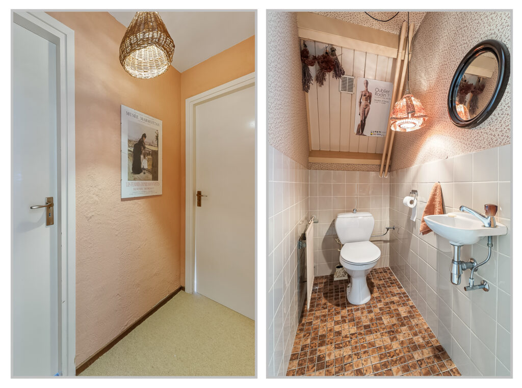 Hallway and small bathroom interior design