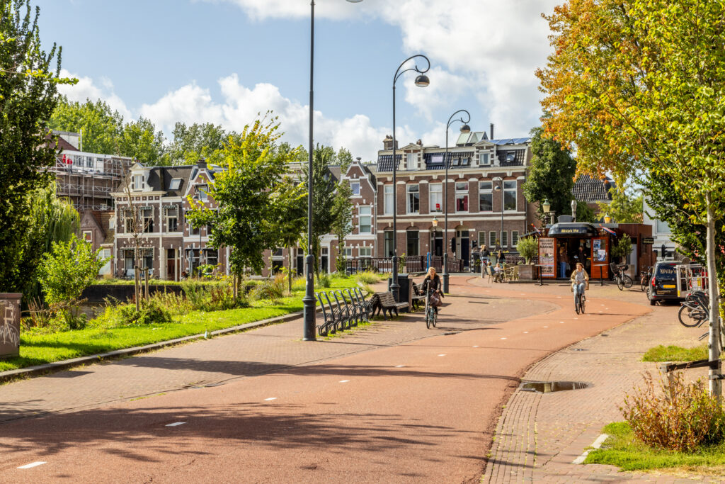 Cyclists on sunny street with trees and houses.