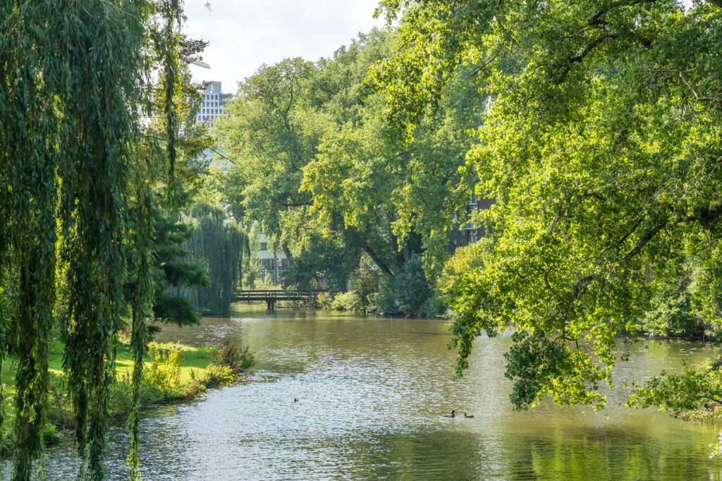 catharina van rennesstraat 1 2, amsterdam – foto 11