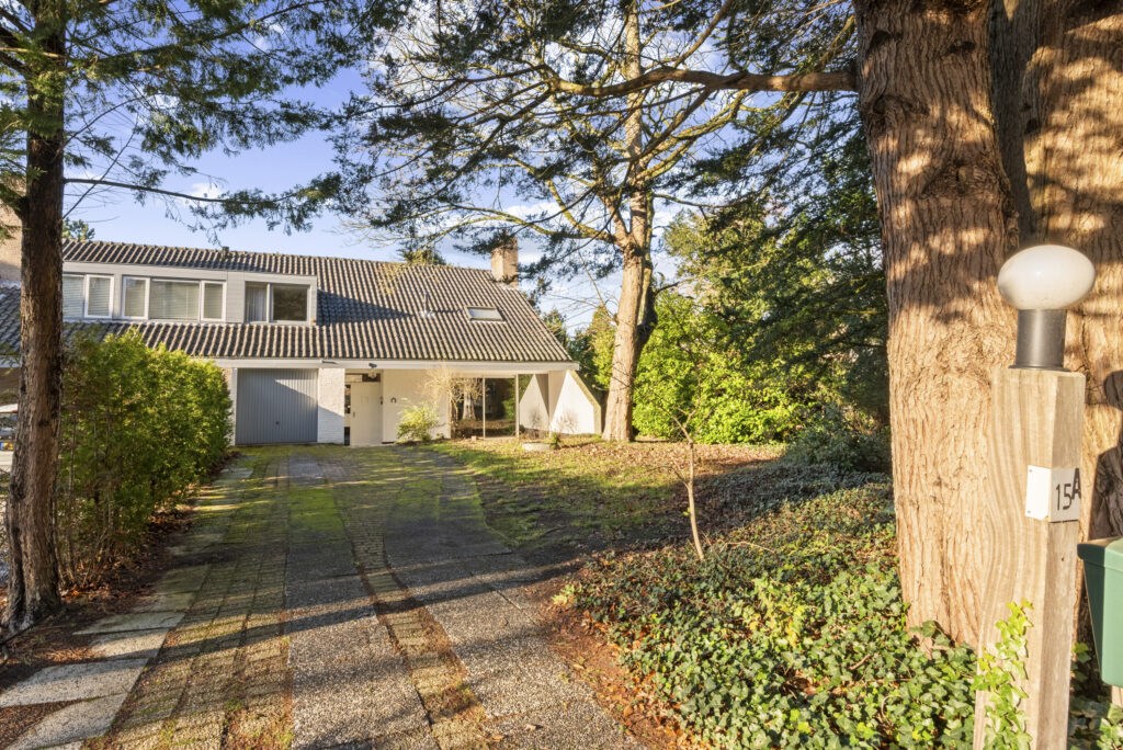 Sunny house exterior with driveway and trees
