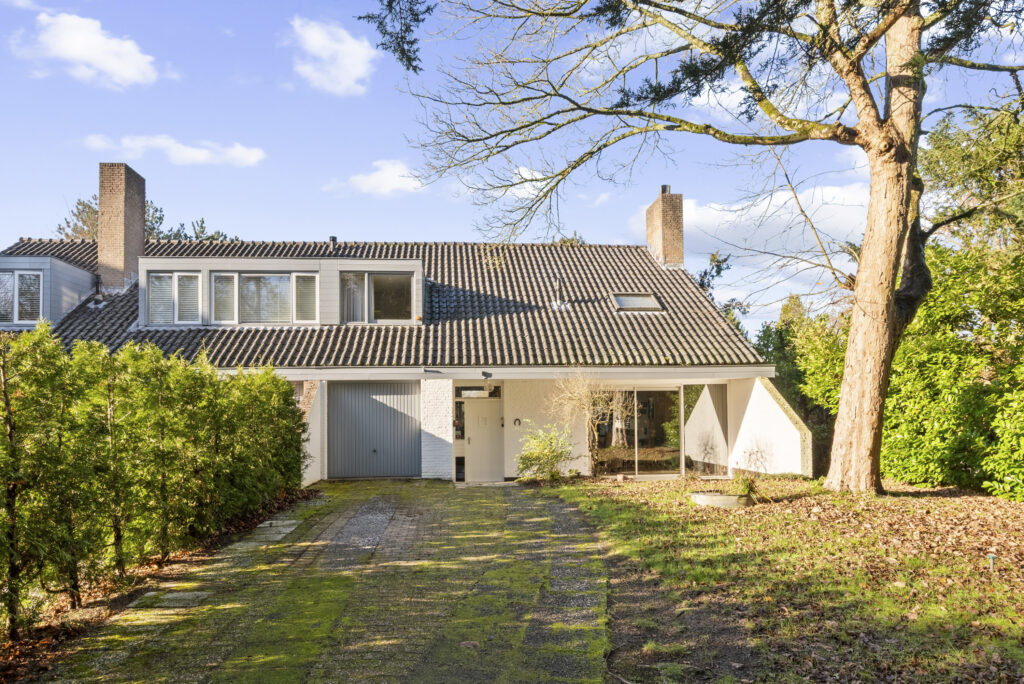 Modern house with driveway and trees