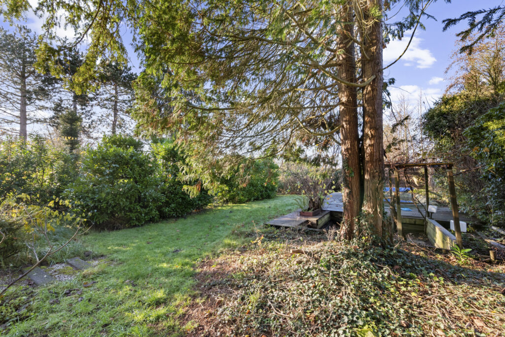 Lush green garden with trees and grass