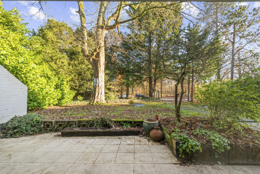 Backyard view with trees and patio