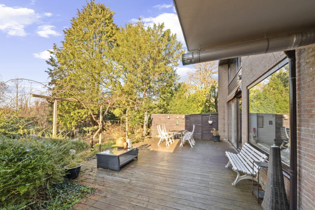 Sunny backyard patio with chairs and lush trees.