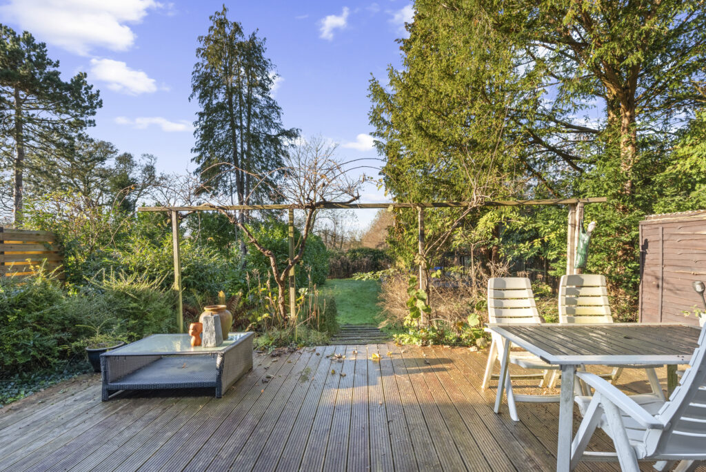 Sunny backyard patio with trees and seating area.
