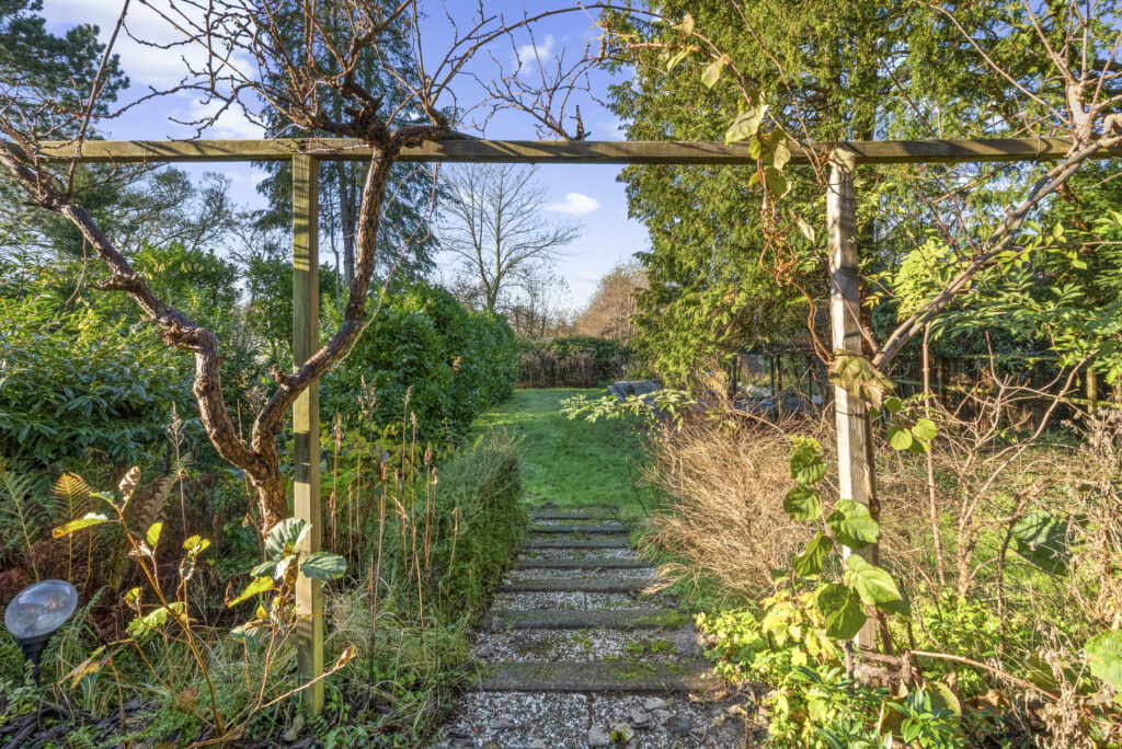 Garden path through lush greenery and trees