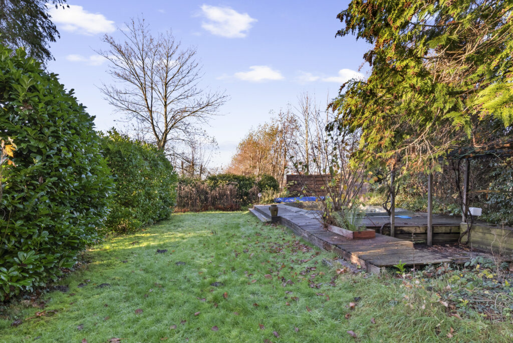 Lush garden with wooden deck and evergreen trees.