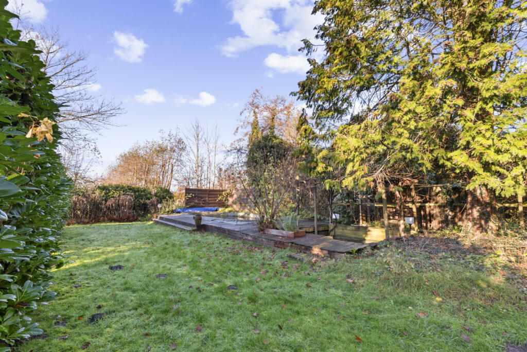 Garden with trees and wooden fence