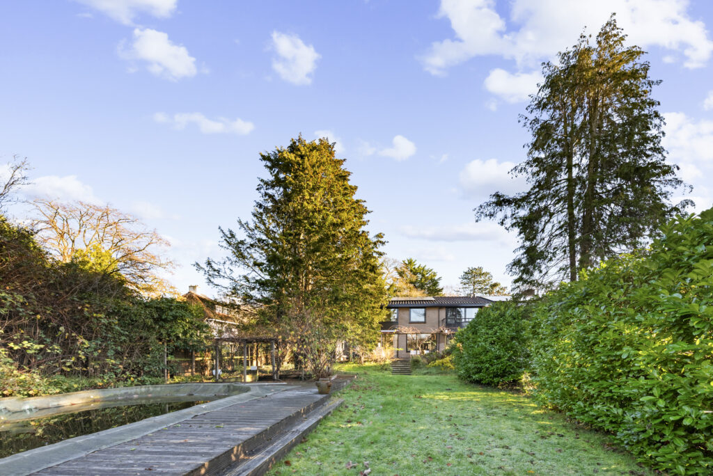Backyard garden with wooden pathway and house view