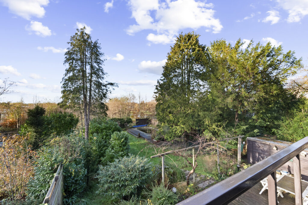 Lush garden view with trees and blue sky.