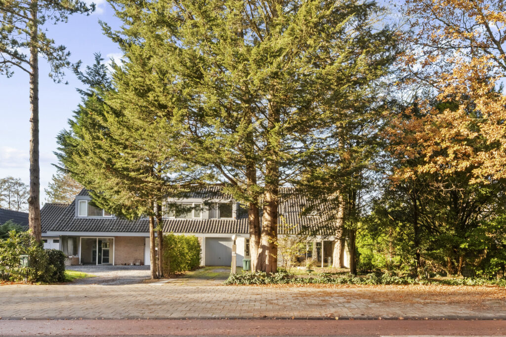 Suburban house surrounded by tall trees, sunny day.