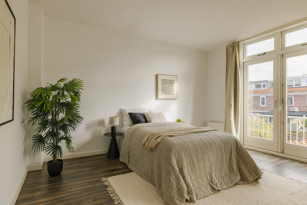 Modern bedroom with plant and large window