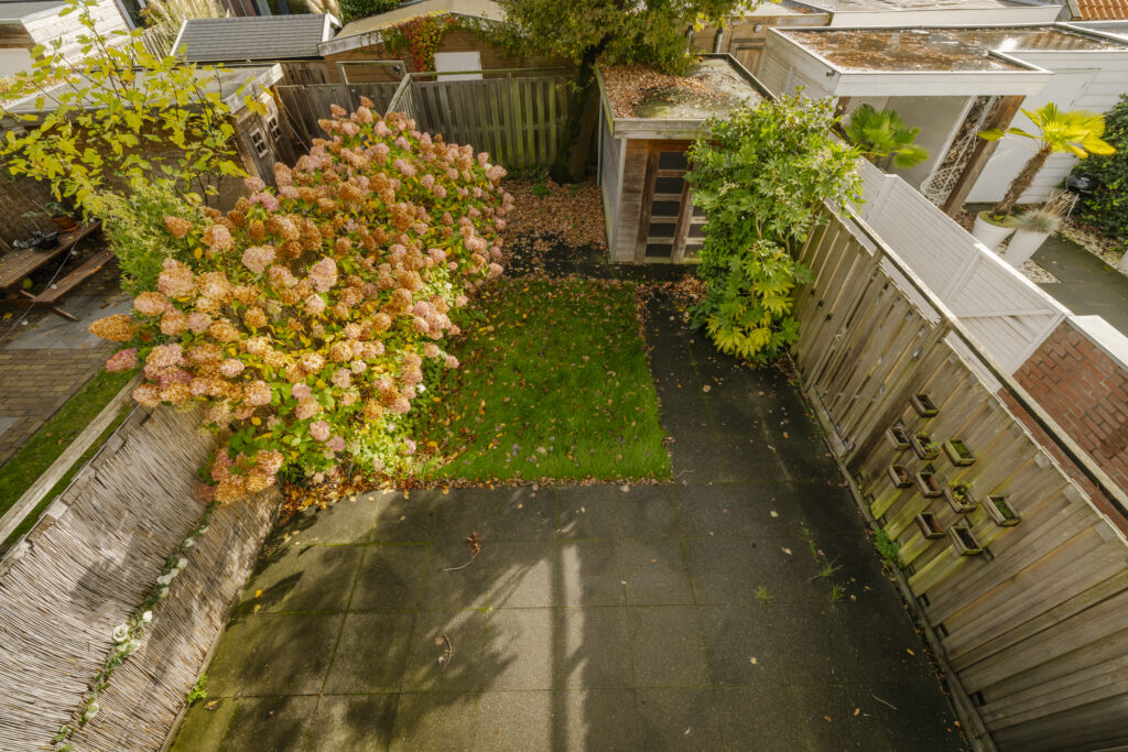Backyard garden with flowers and greenery view
