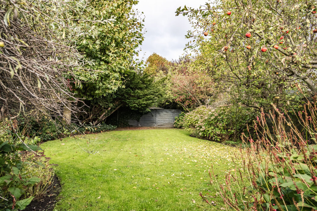 oranjeplein 1, haarlem – foto 20