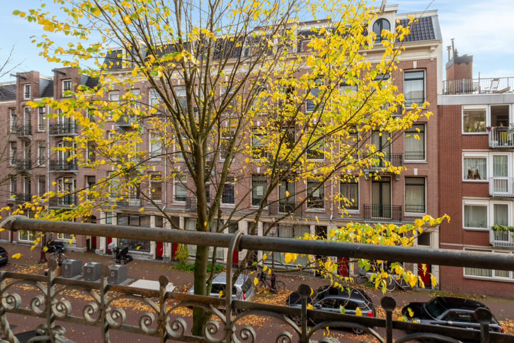 Urban autumn scene with brick buildings and tree