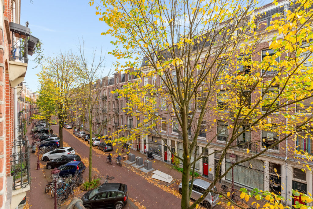 Tree-lined street with parked cars, autumn leaves falling.