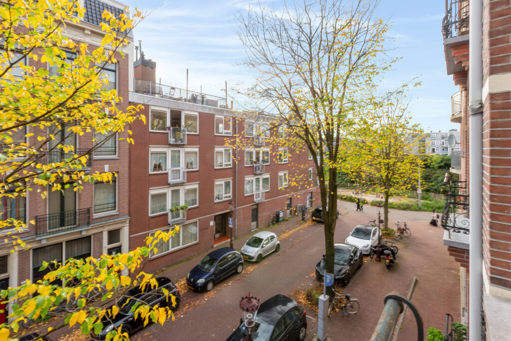 Urban street scene with autumn trees and parked cars.