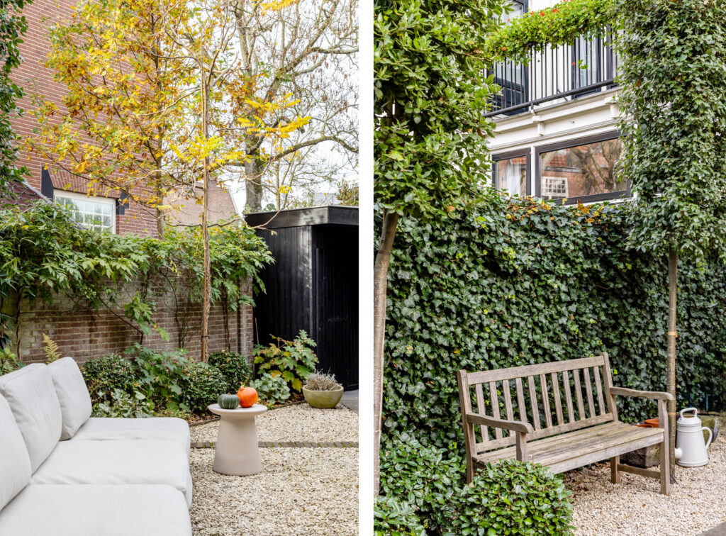 Cozy garden with seating, plants, and autumn foliage.
