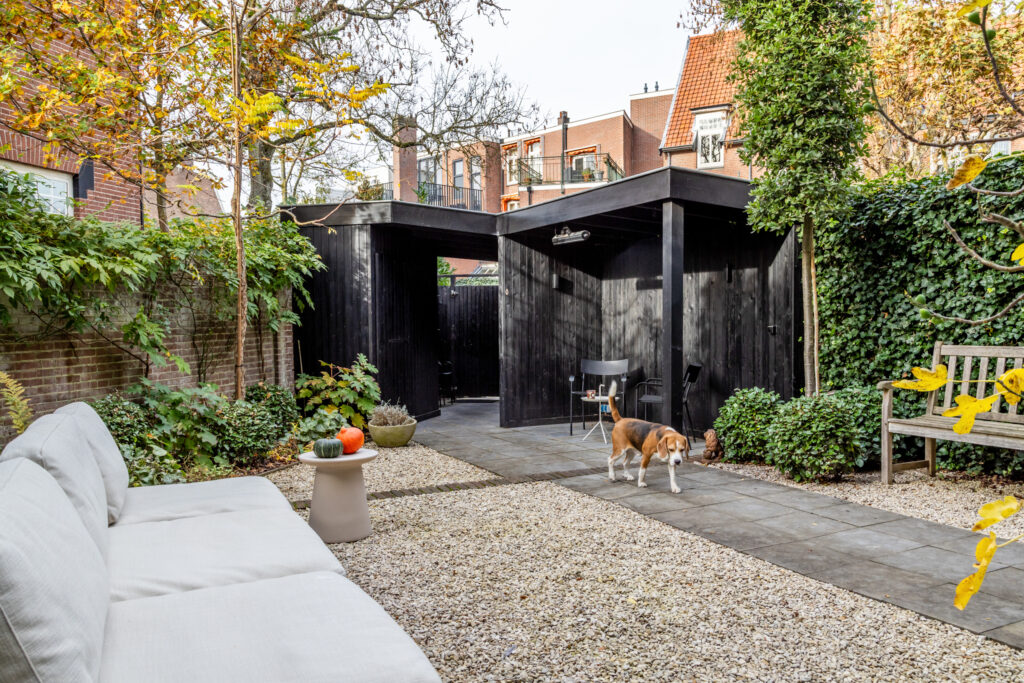 Cozy backyard with shed and dog exploring.