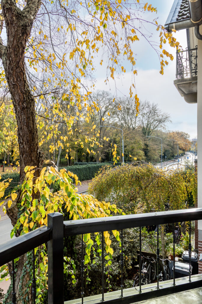 Autumn leaves view from a balcony.