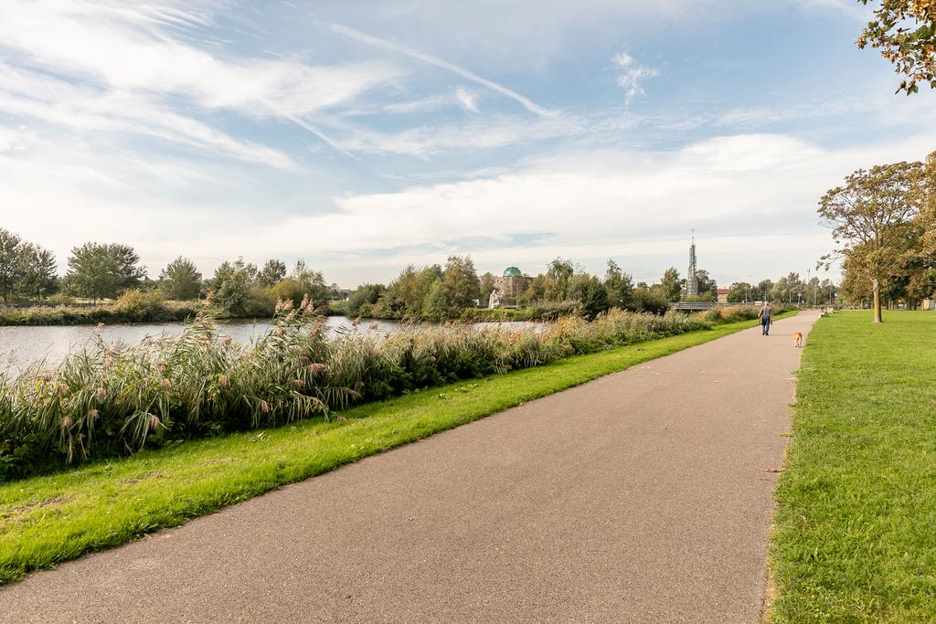 Scenic riverside path with trees and grass.