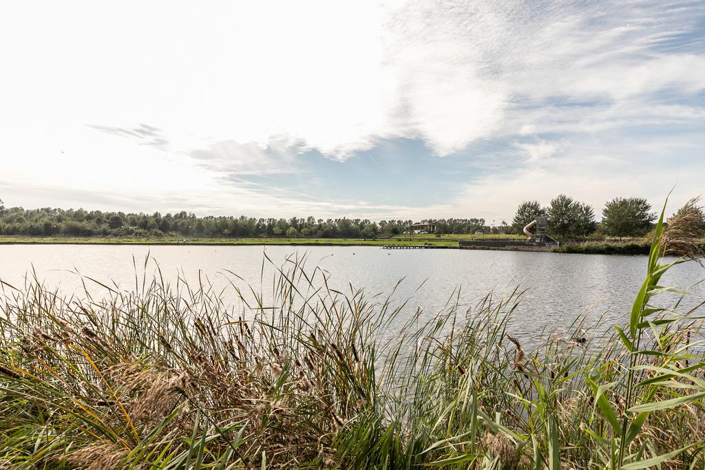 Lake with grass and cloudy sky