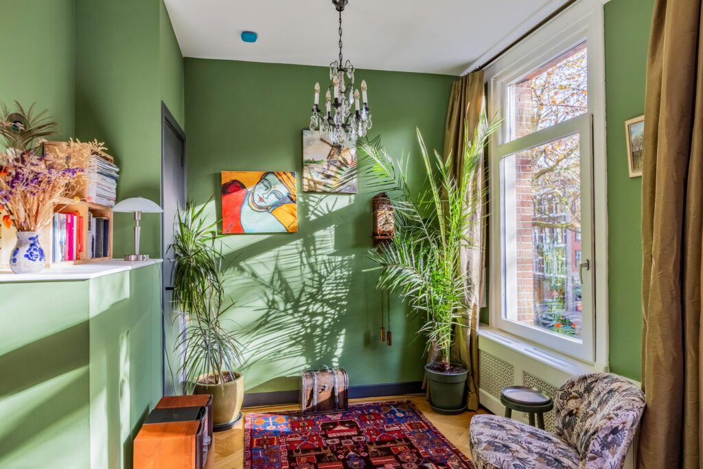 Cozy green room with plants and sunlight.
