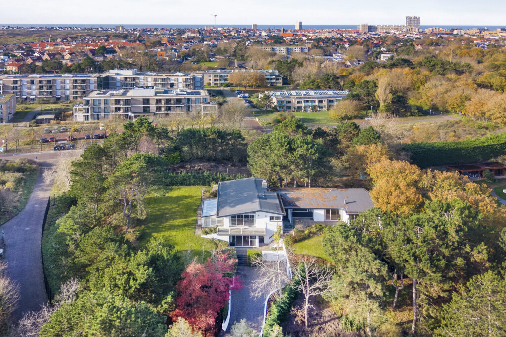 Aerial view of modern house and surrounding greenery.