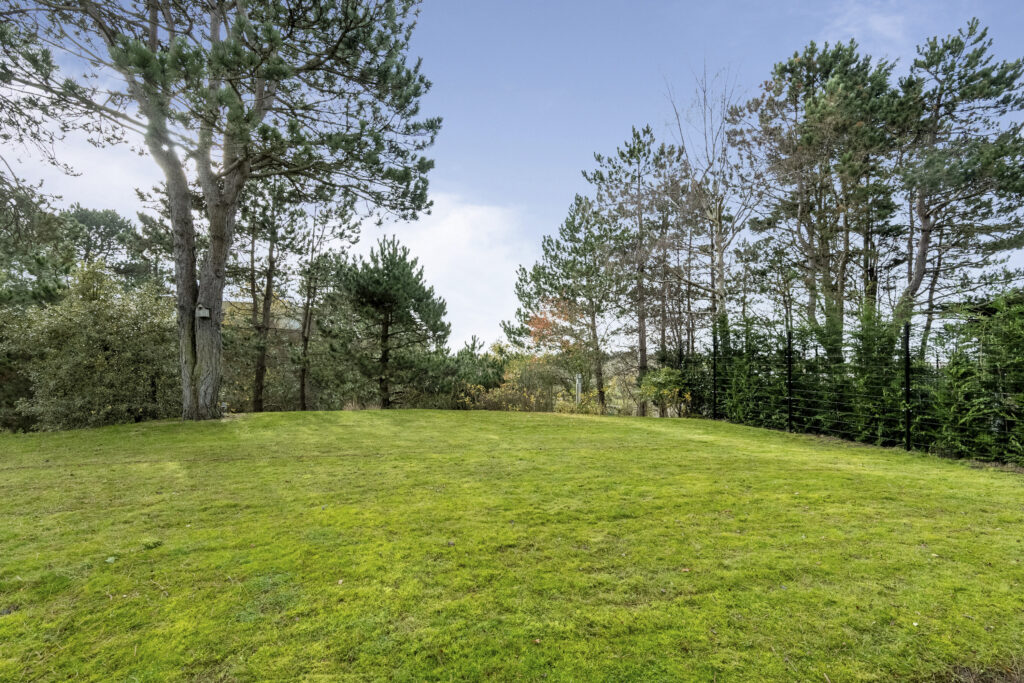 Grassy field with trees under blue sky.