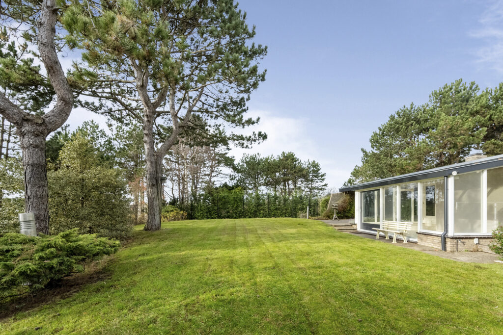 Lawn with trees next to modern glass house