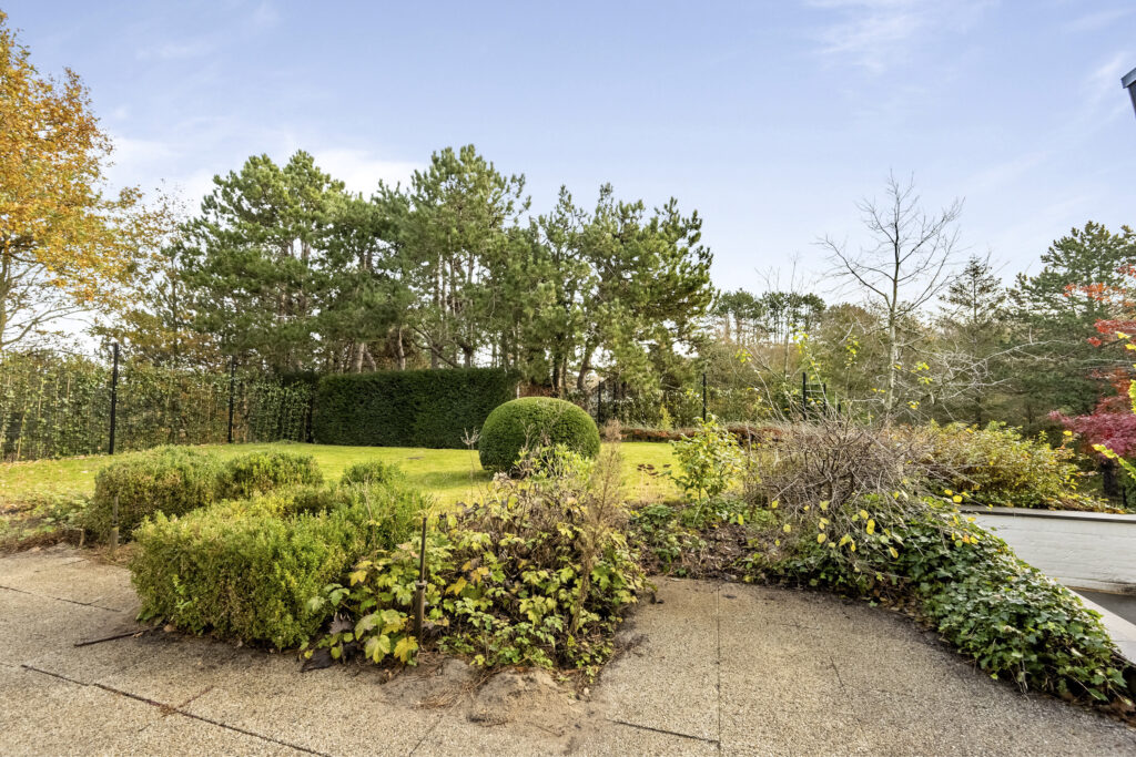 Lush garden with trees and shrubs under blue sky