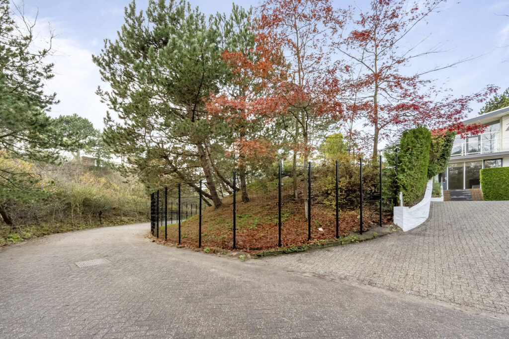 Curved road with autumn trees and fences