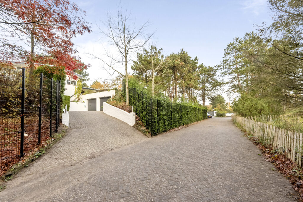 Driveway surrounded by trees in front of house