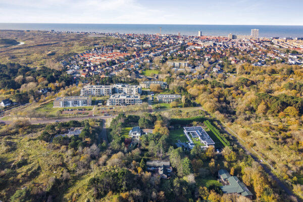 Coastal cityscape with buildings and forest view.