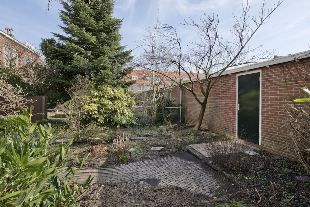 Brick wall and garden with trees and plants.