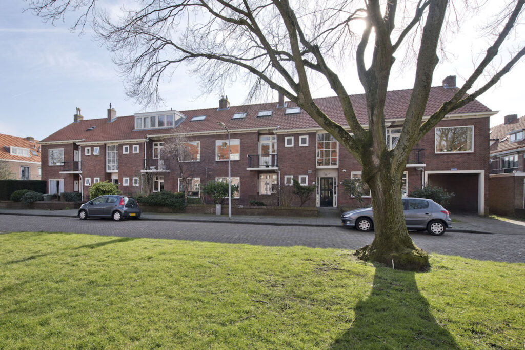 Brick townhouses with parked cars and tree