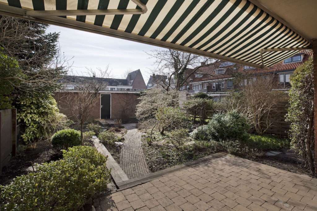Suburban garden with brick path and greenery.