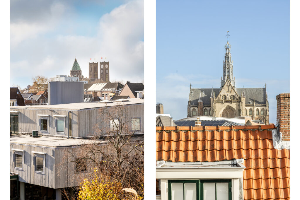 City rooftops with historical buildings in background.