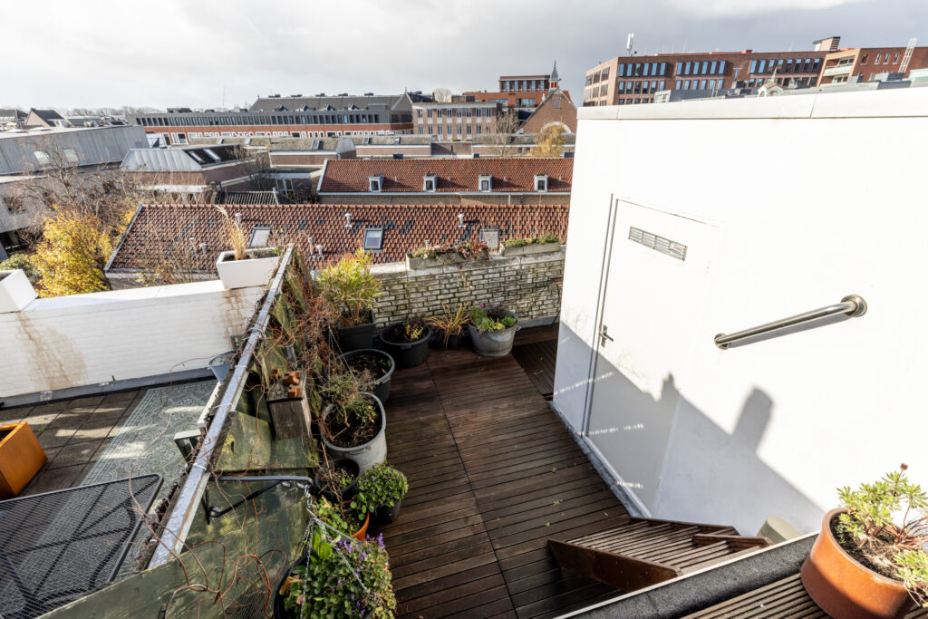 Rooftop garden with city view and potted plants.