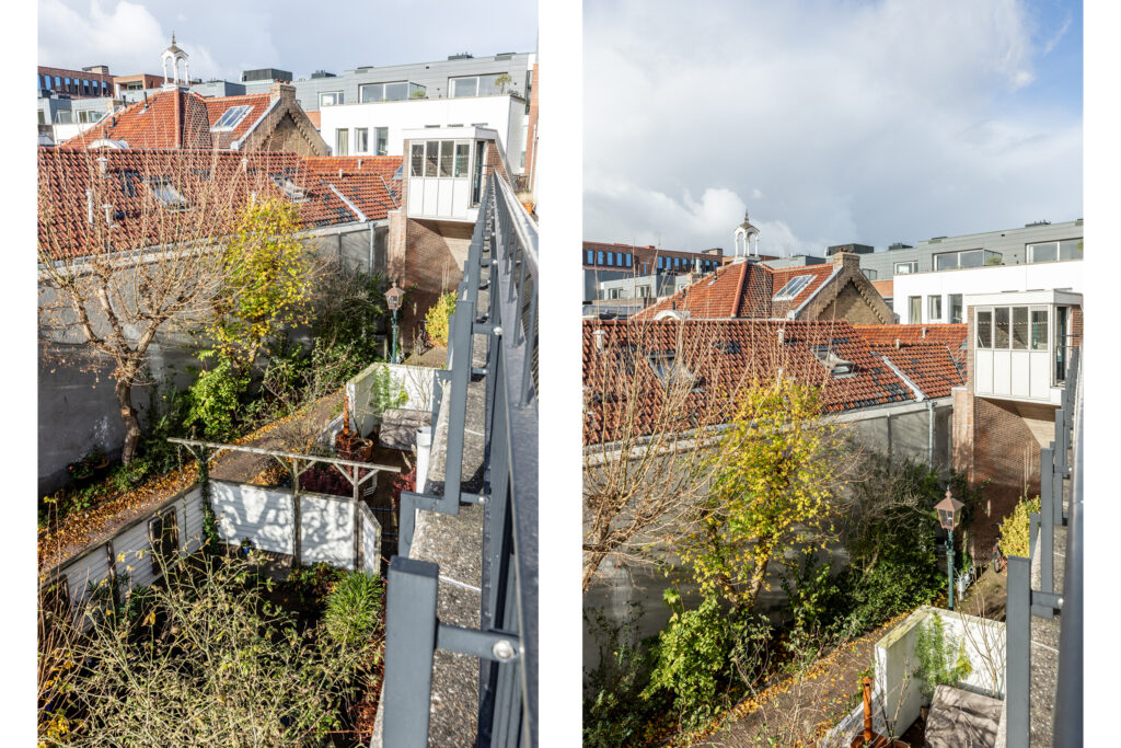 Rooftop view with garden and brick houses in city.