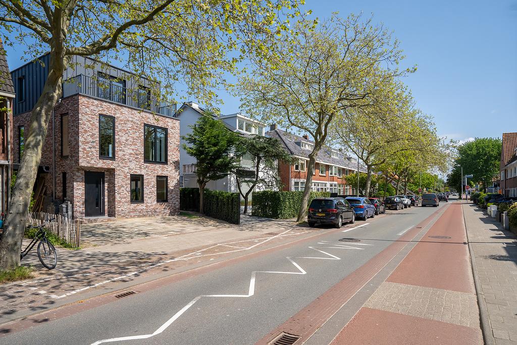 Sunny tree-lined residential street with brick houses