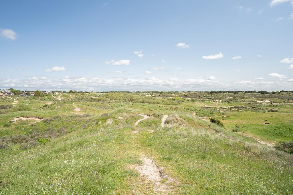 Scenic green landscape with trails under blue sky.