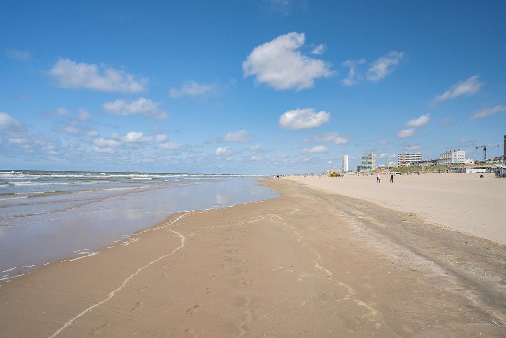 Sunny beach with city skyline in distance.