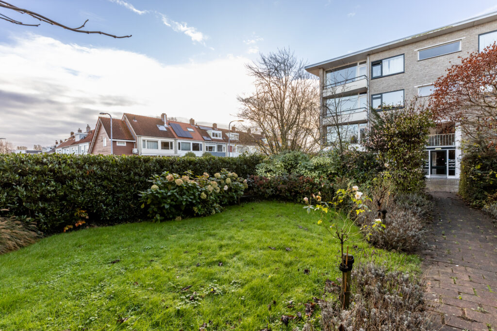 Green lawn with apartment buildings and garden shrubs.