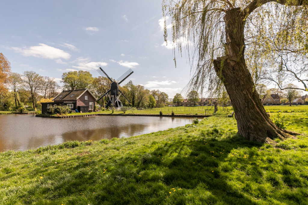 Windmill by a pond with trees and house