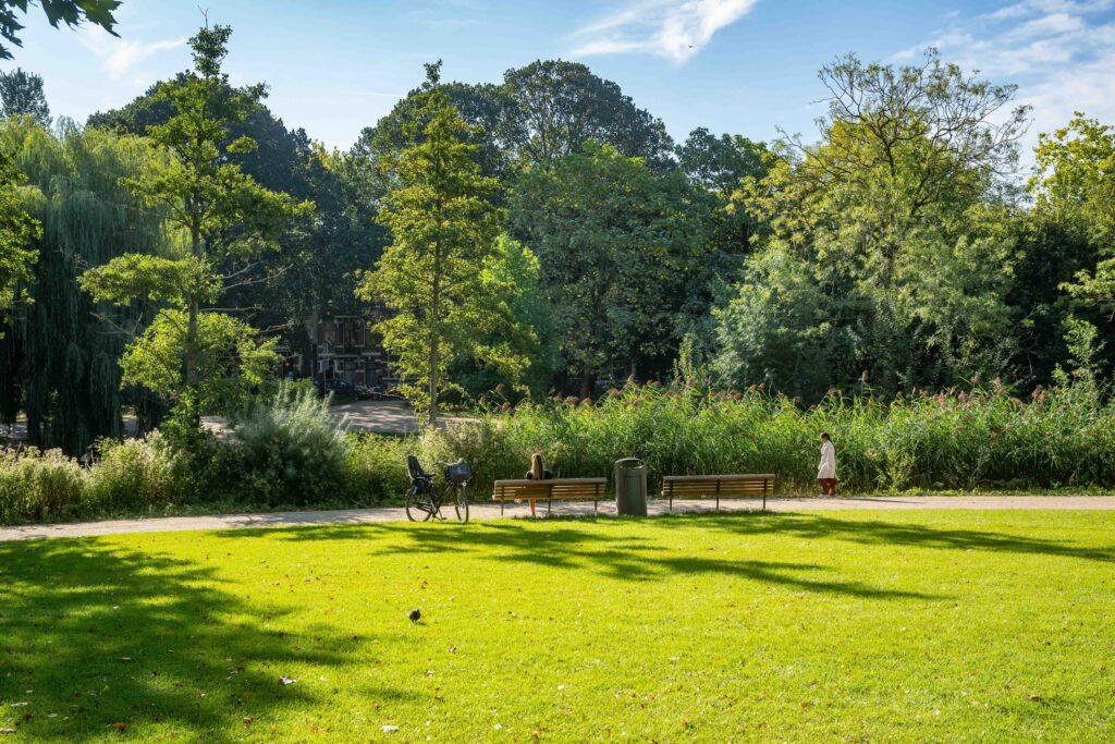 Sunny park scene with bicycle and benches